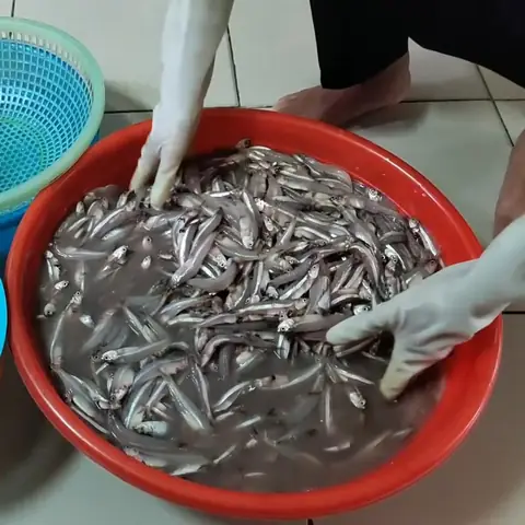 Cách Nấu Nước Mắm Cá Tại Nhà Thơm Ngon, Chuẩn Vị Dân Dã Cách Nấu Nước Mắm Cá Tại Nhà Thơm Ngon, Chuẩn Vị Dân Dã