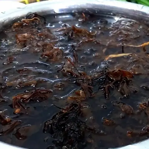 Cách Nấu Nước Sâm Rong Biển Không Tanh, Thanh Mát Tại Nhà: Bí Quyết Xử Lý Khử Mùi Hiệu Quả