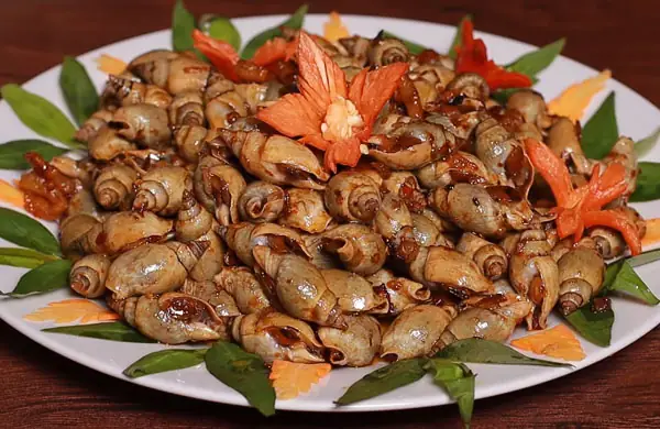 Hướng Dẫn Chi Tiết Cách Nấu Ốc Cà Na Xào Bơ Tỏi Thơm Ngon Tại Nhà Hướng Dẫn Chi Tiết Cách Nấu Ốc Cà Na Xào Bơ Tỏi Thơm Ngon Tại Nhà