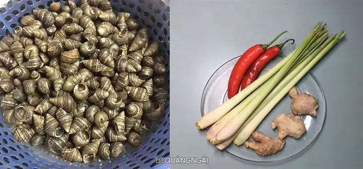 Hướng Dẫn Chi Tiết Cách Nấu Ốc Hút Quảng Ngãi Chuẩn Vị Tại Nhà Hướng Dẫn Chi Tiết Cách Nấu Ốc Hút Quảng Ngãi Chuẩn Vị Tại Nhà