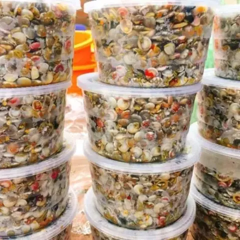 Hướng Dẫn Chi Tiết Cách Nấu Ốc Lễ Ngon Chuẩn Vị Tại Nhà
