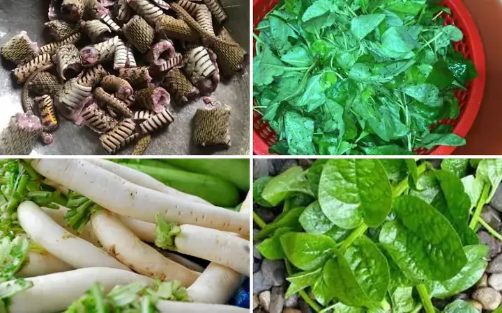Hướng Dẫn Chi Tiết Cách Nấu Rắn Canh Gừng Thơm Ngon, Bổ Dưỡng Cho Bữa Cơm Gia Đình Hướng Dẫn Chi Tiết Cách Nấu Rắn Canh Gừng Thơm Ngon, Bổ Dưỡng Cho Bữa Cơm Gia Đình