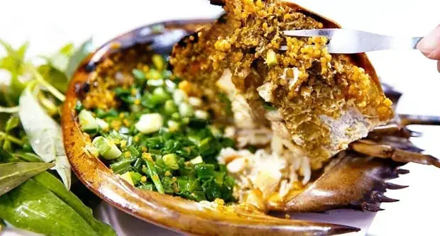 Hướng Dẫn Cách Nấu Sam Biển Ngon Và Sơ Chế Đúng Cách Tại Nhà
