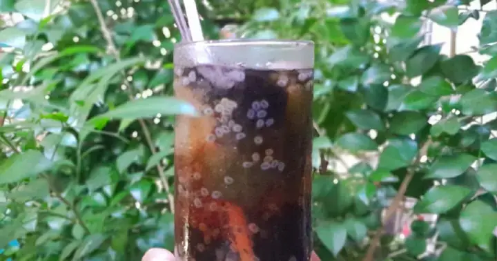 Hướng Dẫn Cách Nấu Sương Sáo Trắng Hạt É Tại Nhà Chi Tiết Từng Bước