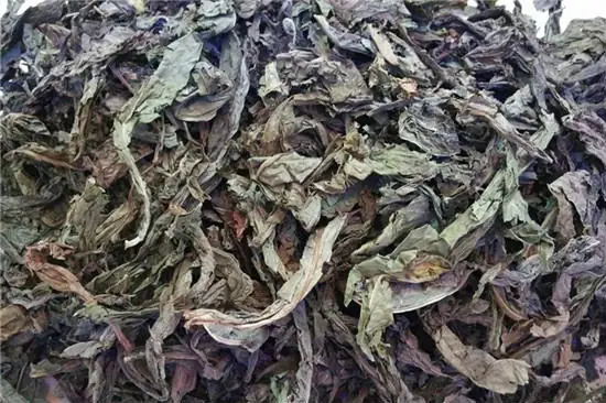Hướng Dẫn Cách Nấu Trà Bồ Công Anh Tại Nhà Từ Lá, Hoa Và Rễ Hướng Dẫn Cách Nấu Trà Bồ Công Anh Tại Nhà Từ Lá, Hoa Và Rễ