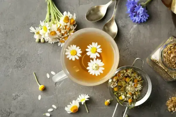 Hướng Dẫn Cách Nấu Trà Cúc Hải Phòng Chuẩn Vị Tại Nhà Từng Bước Hướng Dẫn Cách Nấu Trà Cúc Hải Phòng Chuẩn Vị Tại Nhà Từng Bước
