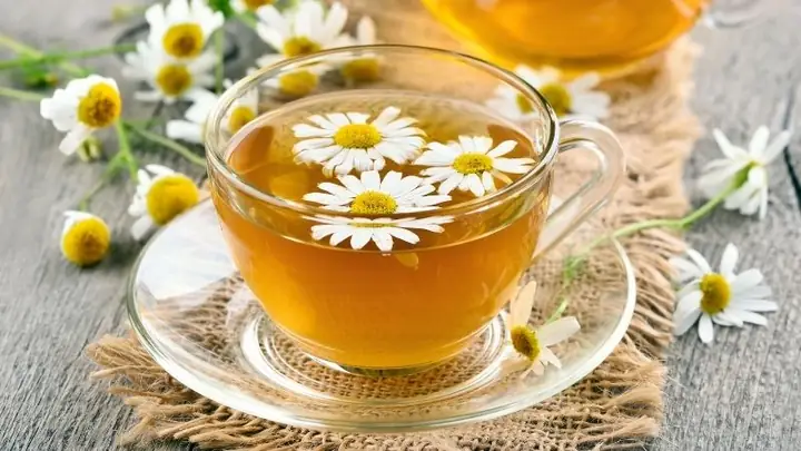 Hướng Dẫn Cách Nấu Trà Hoa Cúc Nhãn Nhục Thơm Ngon Tại Nhà Hướng Dẫn Cách Nấu Trà Hoa Cúc Nhãn Nhục Thơm Ngon Tại Nhà