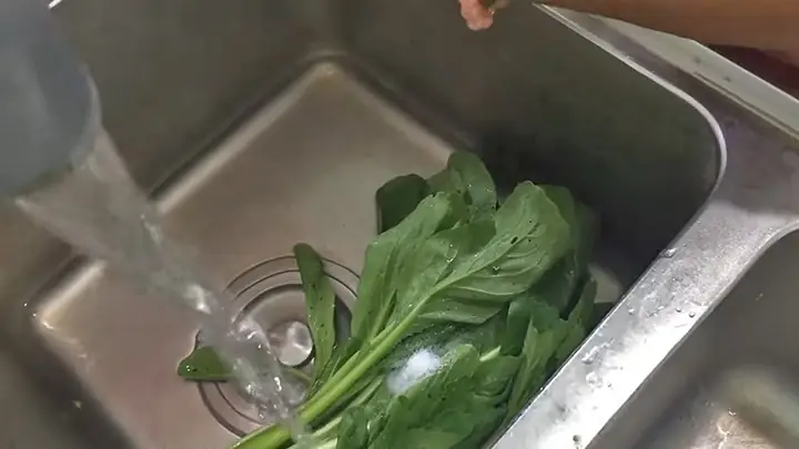 Hướng Dẫn Cách Nhặt Rau Cải Ngọt Nhanh, Sạch Và Đúng Kỹ Thuật Cho Người Nội Trợ Hướng Dẫn Cách Nhặt Rau Cải Ngọt Nhanh, Sạch Và Đúng Kỹ Thuật Cho Người Nội Trợ