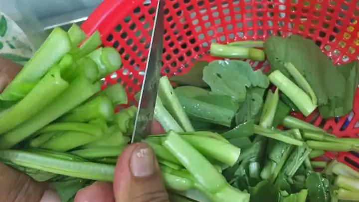 Hướng Dẫn Cách Nhặt Rau Cải Ngọt Nhanh, Sạch Và Đúng Kỹ Thuật Cho Người Nội Trợ Hướng Dẫn Cách Nhặt Rau Cải Ngọt Nhanh, Sạch Và Đúng Kỹ Thuật Cho Người Nội Trợ