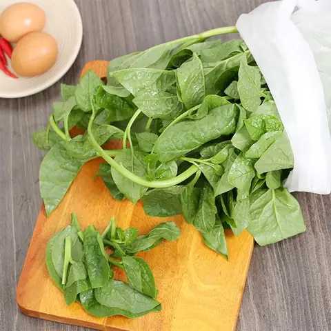 Hướng Dẫn Cách Nhặt Rau Mùng Tơi Nhanh, Sạch Cho Bữa Cơm Gia Đình