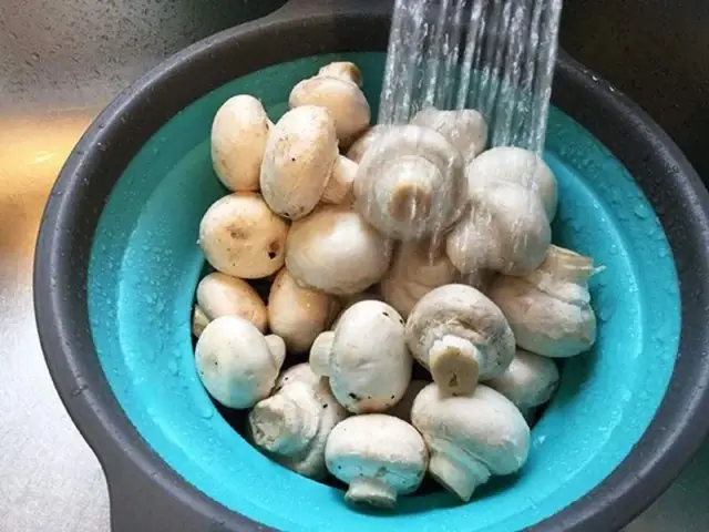 Cách Sơ Chế Nấm Mỡ Đúng Chuẩn Không Bị Nhớt Cho Người Nội Trợ