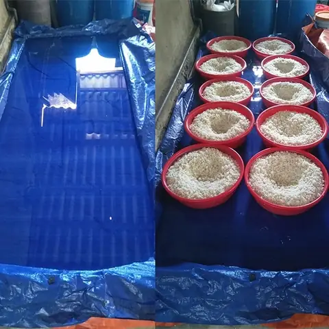 Hướng Dẫn Chi Tiết Cách Ủ Men Nấu Rượu Tại Nhà Từ A Đến Z Hướng Dẫn Chi Tiết Cách Ủ Men Nấu Rượu Tại Nhà Từ A Đến Z