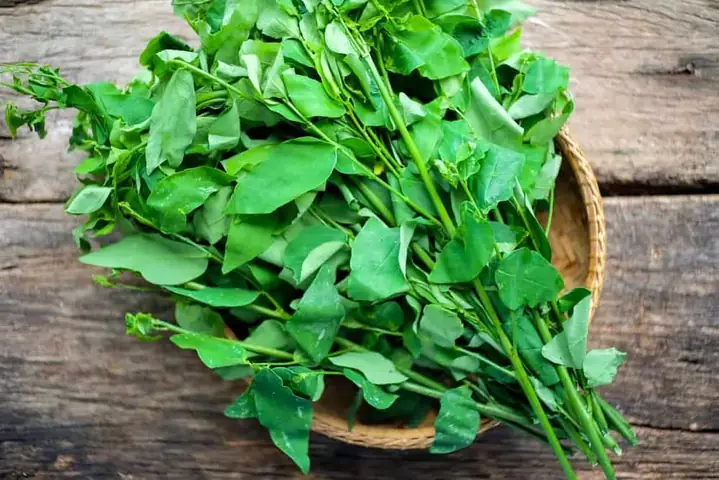 Bà Bầu Có Nên Ăn Canh Rau Ngót Không Và Cách Nấu An Toàn Theo Từng Giai Đoạn Thai Kỳ