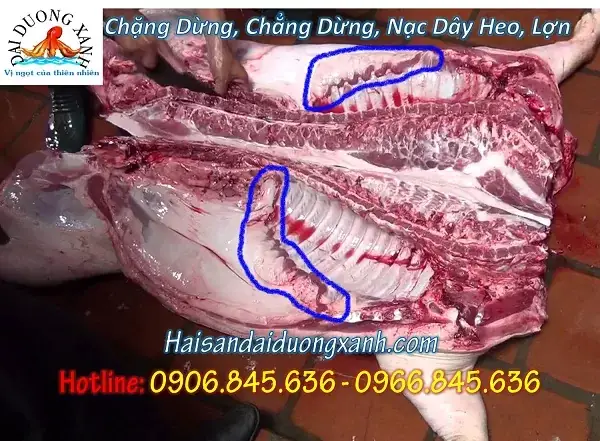 Tìm Hiểu Chẳng Dừng Heo Nằm Ở Đâu: Vị Trí Và Đặc Điểm Phần Thịt Nạc Dây Heo