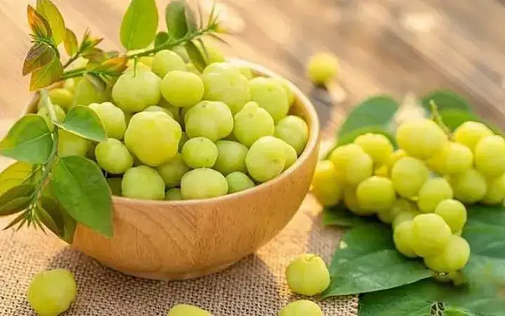 Chùm Ruột Ngâm Rượu Có Tác Dụng Gì? Tóm Tắt Công Dụng, Cách Dùng Và Lưu Ý