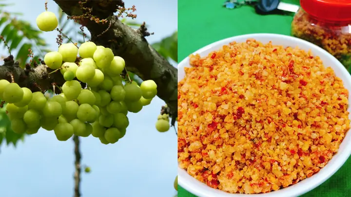 Cách Làm Chùm Ruột Xốc Muối Ớt Chua Cay Lạ Miệng Tại Nhà