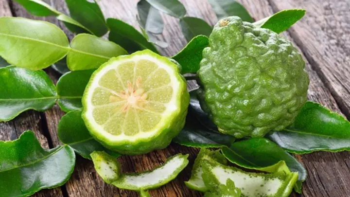 Tổng Hợp Công Dụng Của Trái Chúc Đối Với Sức Khỏe Và Đời Sống