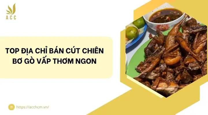 Tổng Hợp Các Quán Cút Chiên Bơ Gò Vấp Ngon Cho Người Thích Ăn Vặt Tổng Hợp Các Quán Cút Chiên Bơ Gò Vấp Ngon Cho Người Thích Ăn Vặt