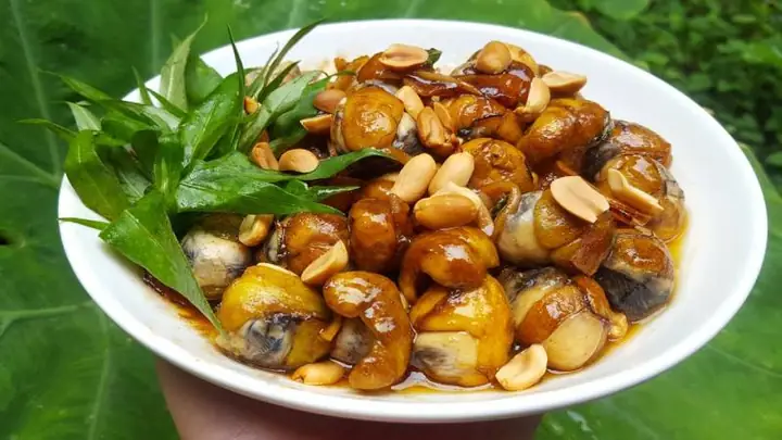 Hướng Dẫn Cách Làm Cút Lộn Xào Me Feedy Chuẩn Vị Tại Nhà Hướng Dẫn Cách Làm Cút Lộn Xào Me Feedy Chuẩn Vị Tại Nhà
