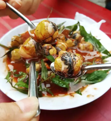 Review Chi Tiết Cút Lộn Xào Me Ở Cầu Giấy: Top Quán Ngon Và Bí Quyết Thưởng Thức
