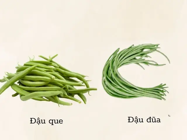 Phân Biệt Đậu Đũa Và Đậu Que: Điểm Khác Và Giống Nhau Của Hai Loại Rau Họ Đậu