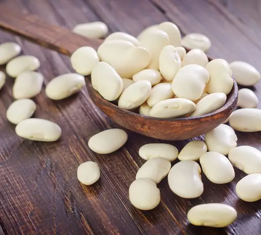 Đậu Trắng Là Đậu Gì? Tìm Hiểu Nguồn Gốc, Đặc Điểm Và Dinh Dưỡng Đậu Trắng Là Đậu Gì? Tìm Hiểu Nguồn Gốc, Đặc Điểm Và Dinh Dưỡng