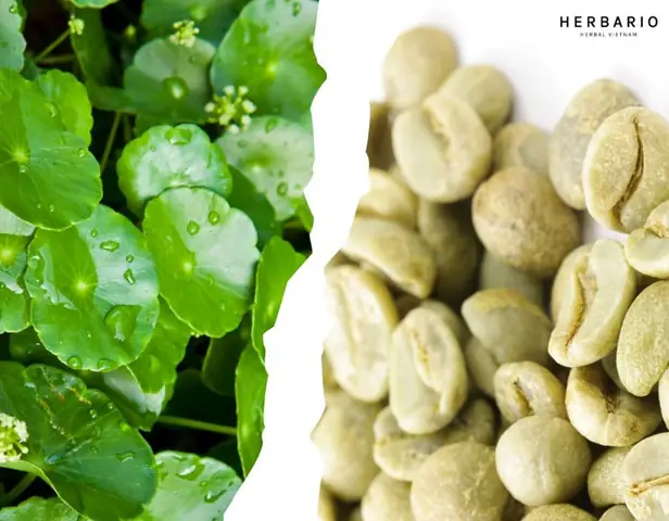 Giải Nghĩa “đậu Xanh Rau Má” Là Gì: Thán Từ, Từ Lóng Và Nguồn Gốc Từ Thức Uống Rau Má Đậu Xanh