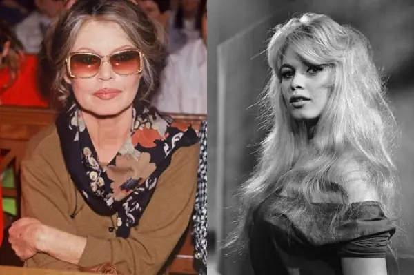 Tiểu Sử Diễn Viên Brigitte Bardot – Sự Nghiệp, Cuộc Đời Và Di Sản Điện Ảnh Pháp Tiểu Sử Diễn Viên Brigitte Bardot – Sự Nghiệp, Cuộc Đời Và Di Sản Điện Ảnh Pháp