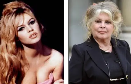 Tiểu Sử Diễn Viên Brigitte Bardot – Sự Nghiệp, Cuộc Đời Và Di Sản Điện Ảnh Pháp Tiểu Sử Diễn Viên Brigitte Bardot – Sự Nghiệp, Cuộc Đời Và Di Sản Điện Ảnh Pháp
