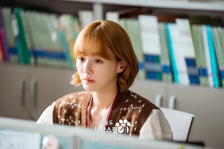 Tiểu Sử Diễn Viên Park Gyu Young: Hồ Sơ, Top Phim Hay & Sự Nghiệp Từ Người Mẫu Đến Nữ Chính Squid Game Tiểu Sử Diễn Viên Park Gyu Young: Hồ Sơ, Top Phim Hay & Sự Nghiệp Từ Người Mẫu Đến Nữ Chính Squid Game