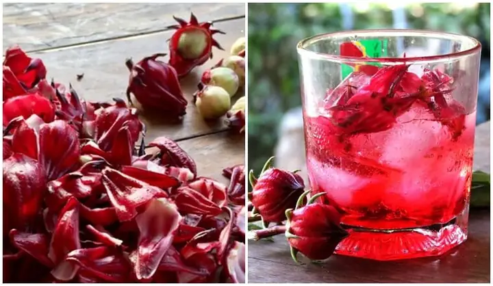 Cách Nấu Nước Uống Từ Hoa Atiso Đỏ (bụp Giấm) Chuẩn Vị, Thơm Ngon Tại Nhà Cách Nấu Nước Uống Từ Hoa Atiso Đỏ (bụp Giấm) Chuẩn Vị, Thơm Ngon Tại Nhà