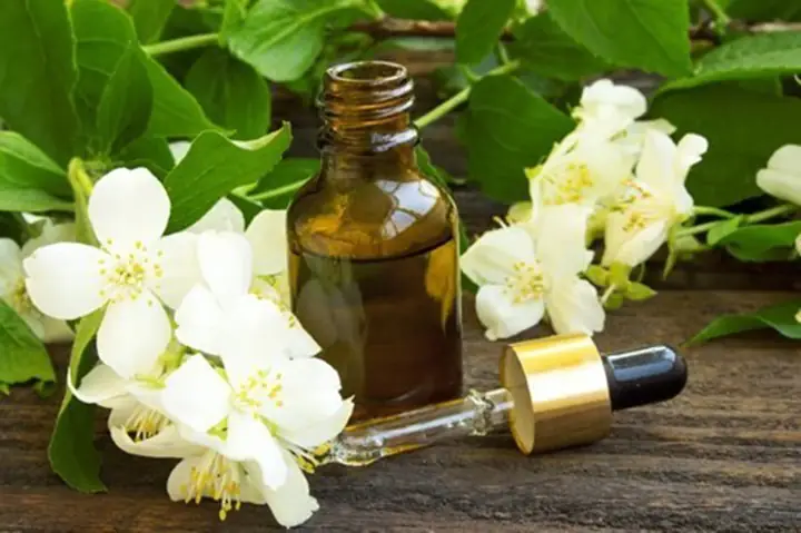 Công Dụng Của Hoa Bưởi: Những Cách Dùng Phổ Biến Trong Đời Sống Và Y Học