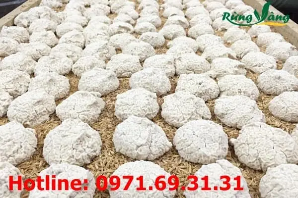 Hướng Dẫn Cách Làm Rượu Nếp Tại Nhà Cho Người Mới Bắt Đầu Hướng Dẫn Cách Làm Rượu Nếp Tại Nhà Cho Người Mới Bắt Đầu