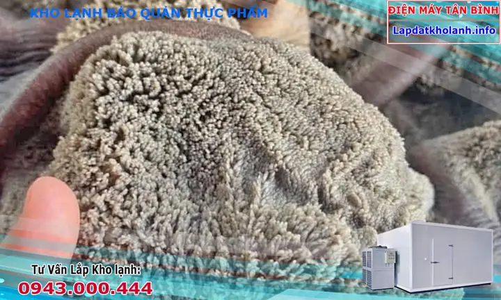 Khăn Lông Bò Là Gì? Tìm Hiểu Định Nghĩa, Bộ Phận Dạ Dày Bò Và Tên Gọi Sách Bò Trong Ẩm Thực