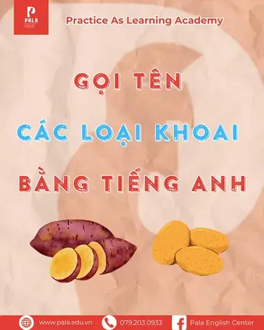 Giải Đáp Khoai Sọ Tiếng Anh Là Gì: Taro, Eddoe Và Phân Biệt Với Khoai Môn Giải Đáp Khoai Sọ Tiếng Anh Là Gì: Taro, Eddoe Và Phân Biệt Với Khoai Môn