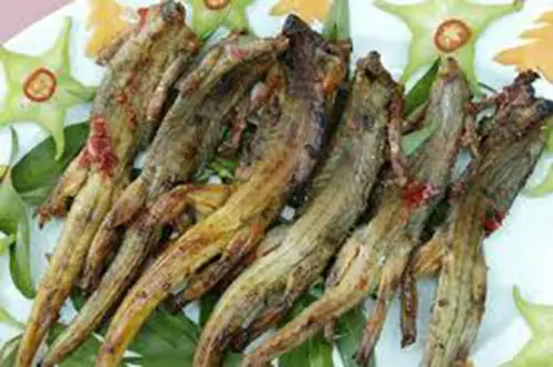 Khám Phá Kỳ Đà Làm Món Gì Ngon: Tổng Hợp Các Món Đặc Sản Từ Thịt Kỳ Đà Và Cách Chế Biến