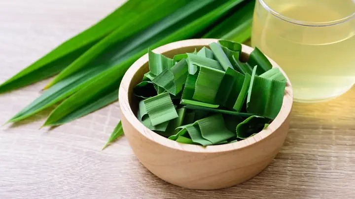 Lá Nếp Và Lá Dứa Có Giống Nhau Không? Giải Đáp Sự Thật Và Công Dụng Thực Tế Lá Nếp Và Lá Dứa Có Giống Nhau Không? Giải Đáp Sự Thật Và Công Dụng Thực Tế