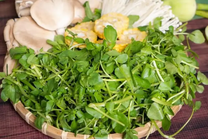 Lẩu Gà Tiềm Ớt Hiểm Ăn Với Rau Gì? Tổng Hợp Danh Sách Rau, Nấm, Bún Ăn Kèm Ngon Chuẩn Vị