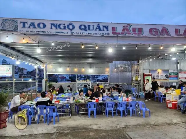 Gợi Ý Top Quán Lẩu Hải Sản Đà Lạt Ngon, Tươi Sống Và Giá Hợp Lý Cho Du Khách Gợi Ý Top Quán Lẩu Hải Sản Đà Lạt Ngon, Tươi Sống Và Giá Hợp Lý Cho Du Khách