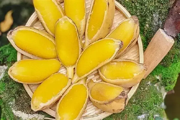 Hướng Dẫn Luộc Chuối Bao Nhiêu Phút Cho Từng Loại Chuối Chín Đều, Ngọt Dẻo Hướng Dẫn Luộc Chuối Bao Nhiêu Phút Cho Từng Loại Chuối Chín Đều, Ngọt Dẻo