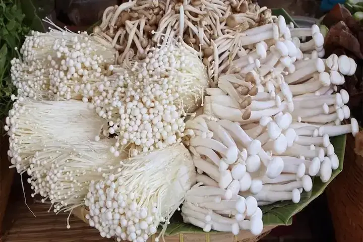 Luộc Nấm Kim Châm Trong Bao Lâu Để Giòn Ngon Và An Toàn?