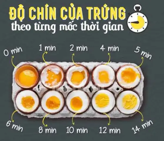 Cách Luộc Trứng Cút Lòng Đào Bao Nhiêu Phút Chuẩn Vị Và Dễ Bóc Vỏ Cho Người Nội Trợ Cách Luộc Trứng Cút Lòng Đào Bao Nhiêu Phút Chuẩn Vị Và Dễ Bóc Vỏ Cho Người Nội Trợ