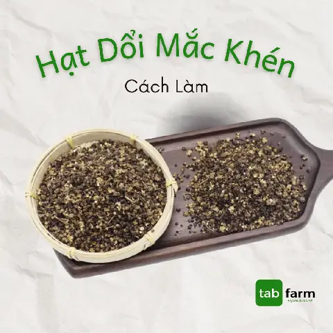 Định Nghĩa Mắc Khén Hạt Dổi Là Gì: Đặc Điểm Của Hai Loại Gia Vị Tây Bắc