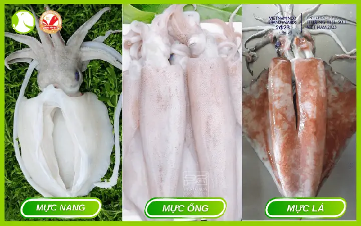 Phân Biệt Mực Lá Và Mực Ống: So Sánh Hình Dáng, Thịt Và Cách Chế Biến Phân Biệt Mực Lá Và Mực Ống: So Sánh Hình Dáng, Thịt Và Cách Chế Biến