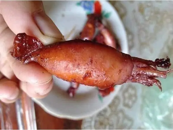 Giải Đáp Mực Sim Là Mực Gì – Loại Mực Nhỏ Nhất Cho Người Yêu Hải Sản