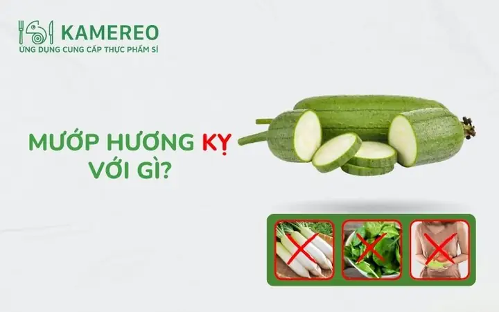 Xác Định Mướp Hương Kỵ Với Gì: Các Thực Phẩm Cần Tránh Kết Hợp Xác Định Mướp Hương Kỵ Với Gì: Các Thực Phẩm Cần Tránh Kết Hợp