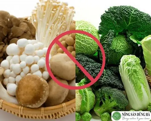 Giải Đáp Nấm Bào Ngư Kỵ Với Gì Và Những Lưu Ý An Toàn Khi Ăn