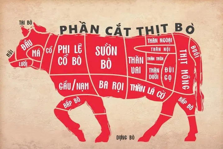 Giải Đáp Nạm Bò Là Bộ Phận Nào Của Con Bò Và Phân Loại Các Loại Thịt Nạm Phổ Biến