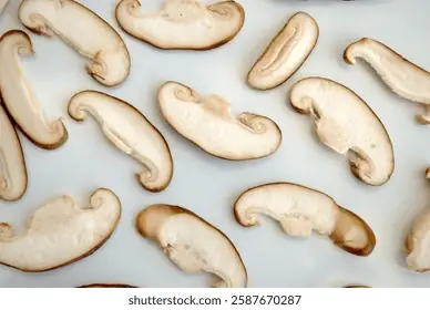 Tìm Hiểu Nấm Đông Cô Tiếng Anh Là Gì Và Từ Vựng Shiitake Mushroom Cho Người Học Tiếng Anh