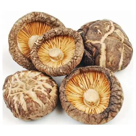 Tìm Hiểu Nấm Đông Cô Tiếng Anh Là Gì Và Từ Vựng Shiitake Mushroom Cho Người Học Tiếng Anh